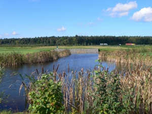 Wasserflche im August 2007